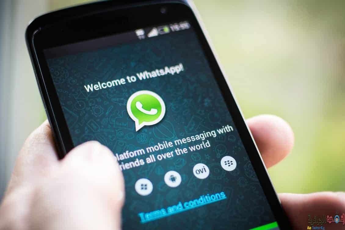 صورة لـ تطبيق Whats App يرفع حد مجموعة الدردشة إلى 256 | Whatsapp-DzTechs