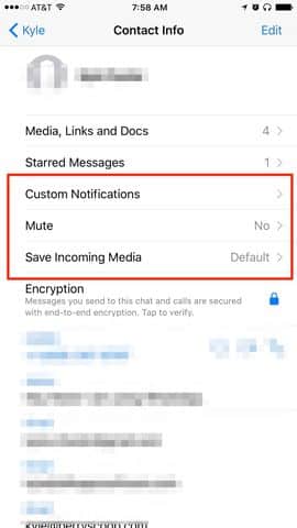 صورة لـ 11 ميزة مخفية في WhatsApp ستسهل عليك استخدامه | whatsapp-contact-info-settings-min