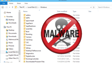 صورة لـ أفضل الأدوات من أجل إزالة البرمجيات الخبيثة من جهازك بسهولة | malware-removal-tools