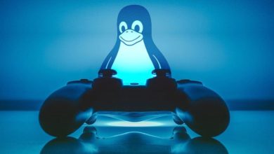 صورة لـ أفضل توزيعات Linux المُخصصة للألعاب أين يُمكنك اللعب والاستمتاع | linux-distros-gaming