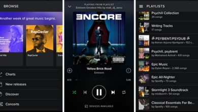 صورة لـ 5 أسباب رئيسية تجعلك تقوم باستخدام Spotify Web Player ؟ | 5-Reasons-to-Use-the-Spotify-Web-Player-For-Music-Streaming4