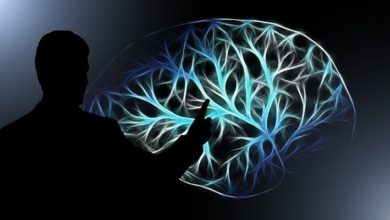 صورة لـ هل تطبيقات تدريب العقل تعمل حقا بشكل كما هو معلن عنه؟ | brain-training-feature