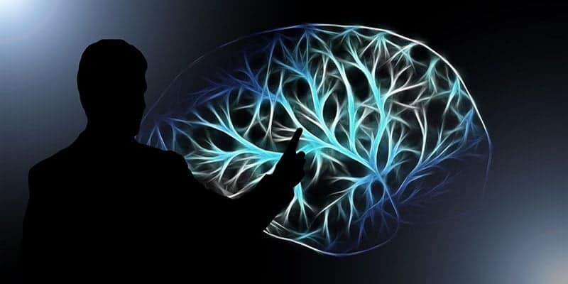 صورة لـ هل تطبيقات تدريب العقل تعمل حقا بشكل كما هو معلن عنه؟ | brain-training-feature-DzTechs