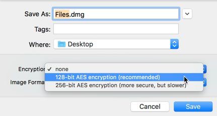 صورة لـ كيفية حماية مجلداتك في نظام macOS بكلمة مرور | password-protect-folder-macos-disk-utility-select-encryption-DzTechs