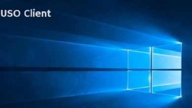 صورة لـ فهم وتعطيل USOclient.exe في نظام التشغيل Windows 10 | Windows10-USO-Process-2