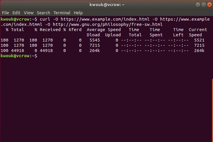 صورة لـ كيفية استخدام الأمر cURL في نظام Linux | how-to-use-curl-commands-multiple-downloads-DzTechs