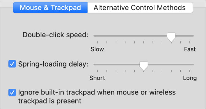 صورة لـ المؤشر على MacBook يتحرك بشكل عشوائي أثناء الكتابة؟ إصلاحات لتجربتها | Ignore_built_in_trackpad_option_from_Accessibility_System_Preferences-1bTZRHfs-DzTechs