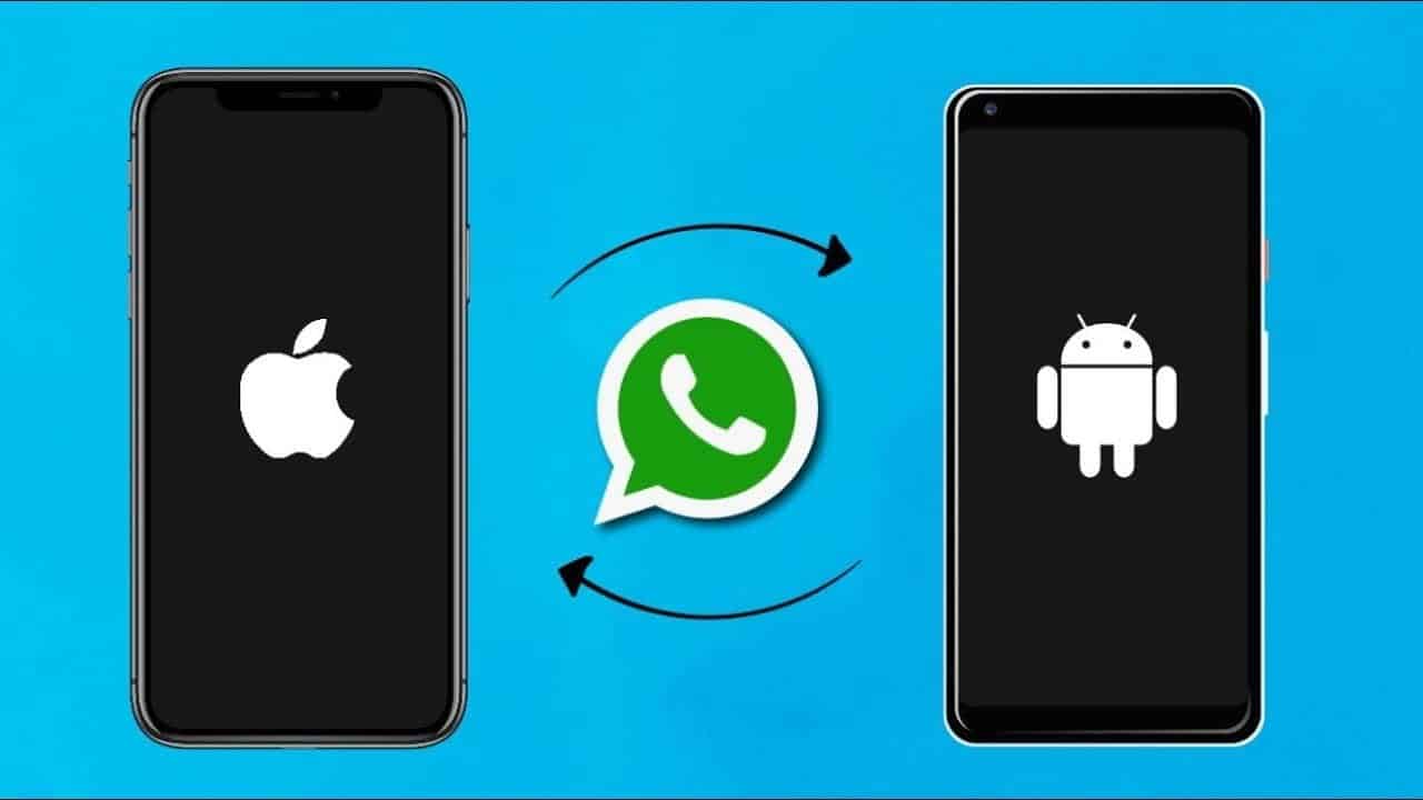 صورة لـ كيفية نقل بيانات WhatsApp إلى هاتف جديد | How_To_Transfer_WhatsApp_Data_From_Android_To_iOS-Aq7jPggs-DzTechs