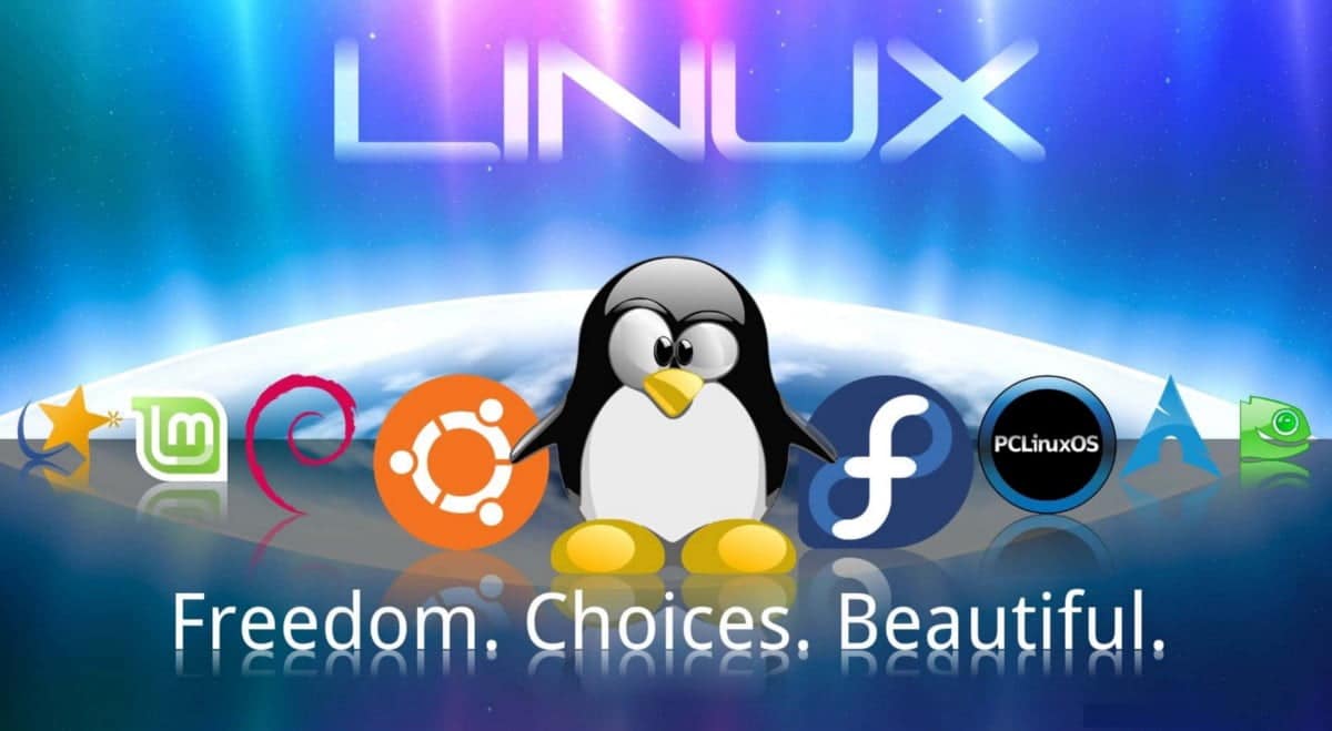 صورة لـ أفضل أنظمة تشغيل Linux التي يُمكن تجربها في جهاز افتراضي | 107XdNrJfDzq_wgWhMMhX9w-DzTechs