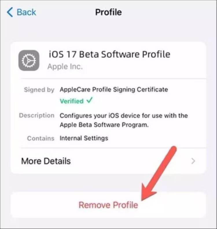 صورة لـ كيفية التراجع من iOS 17 إلى iOS 16 دون فقد البيانات باستخدام Tenorshare Reiboot | 1_M1TjrR4444zp0CQWAVqQg-DzTechs