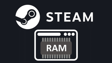 صورة لـ كيفية تقليل استهلاك ذاكرة الوصول العشوائي (RAM) بواسطة Steam Web Helper | 1QcyK9L31uuEOJNKymfQ0Rg-DzTechs