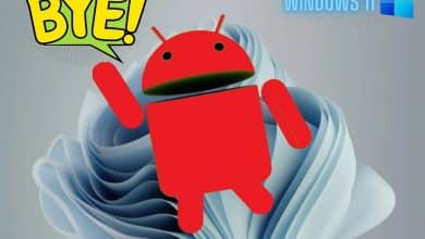 صورة لـ Windows الفرعي لـ Android يختفي: ماذا يجب أن تفعل الآن؟ | 16S_I90GMfMc6hHzOOX0F3g-DzTechs