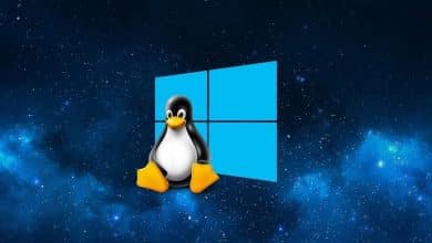 صورة لـ تأثير Windows الفرعي لـ Linux على حصول Linux لسطح المكتب على حصة سوقية إضافية | 1WQlrq5V1zniLhl5f3DU64A-DzTechs