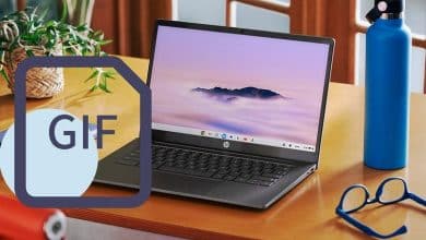 صورة لـ مزايا أداة GIF الجديدة على أجهزة Chromebook التي ستُغيِّر طريقة استخدامك | 1cAna4rXY0Cd68ssxf4RjgA-DzTechs