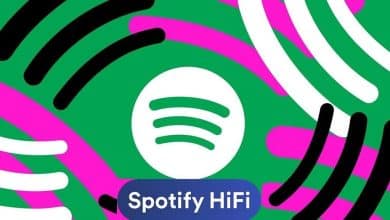 صورة لـ أفضل خدمات بث الصوت عالي الدقة إذا كنت تنتظر Spotify HiFi | 1jXLBwDWLsdE-B0_siZfBbA-DzTechs