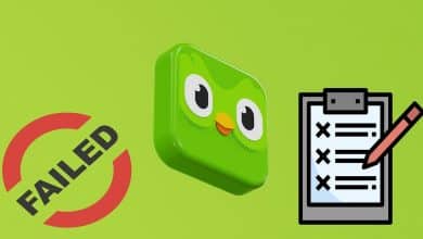 صورة لـ أسباب فشل Duolingo في تحسين تجربتي التعليمية | 1tr8Ol1ZnkQL56bkd4Quc-w-DzTechs