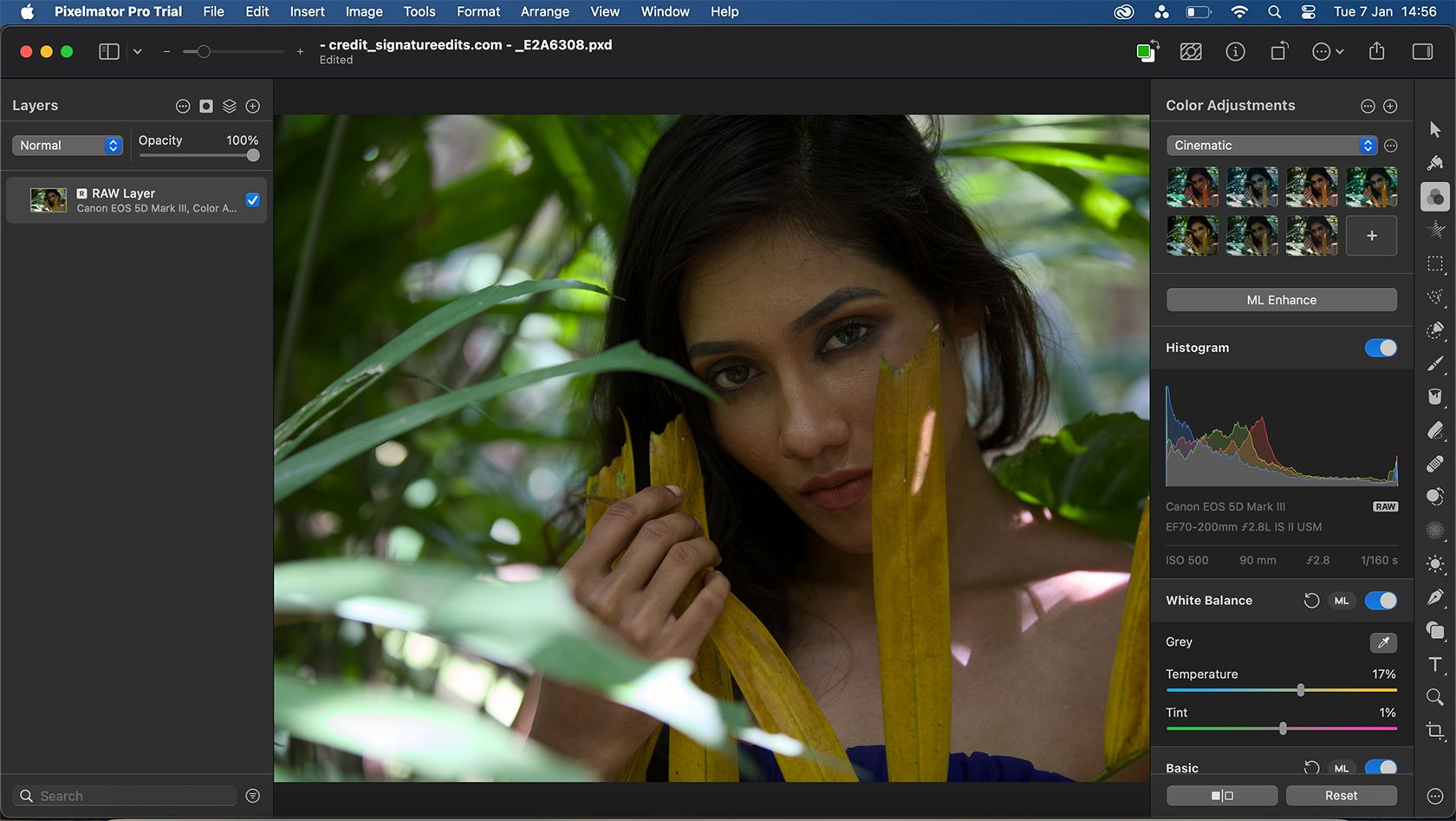 Pixelmator Pro RAW Photo Editing