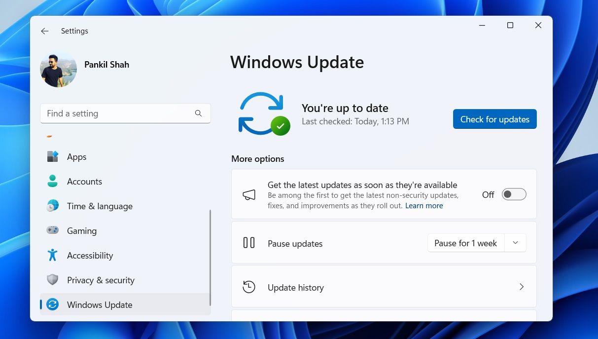 علامة تبويب Windows Update في تطبيق إعدادات Windows 11