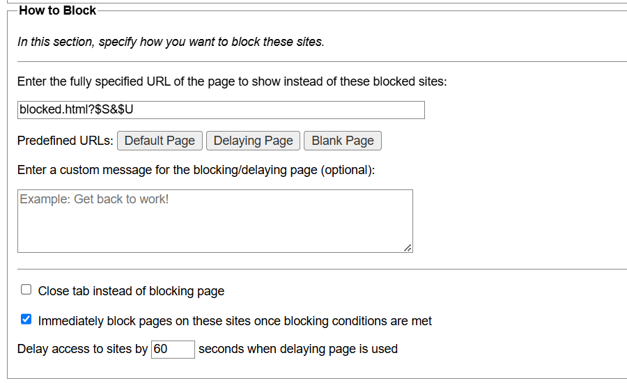 قسم "كيف تحظر" في إضافات LeechBlock لمتصفح Chrome.