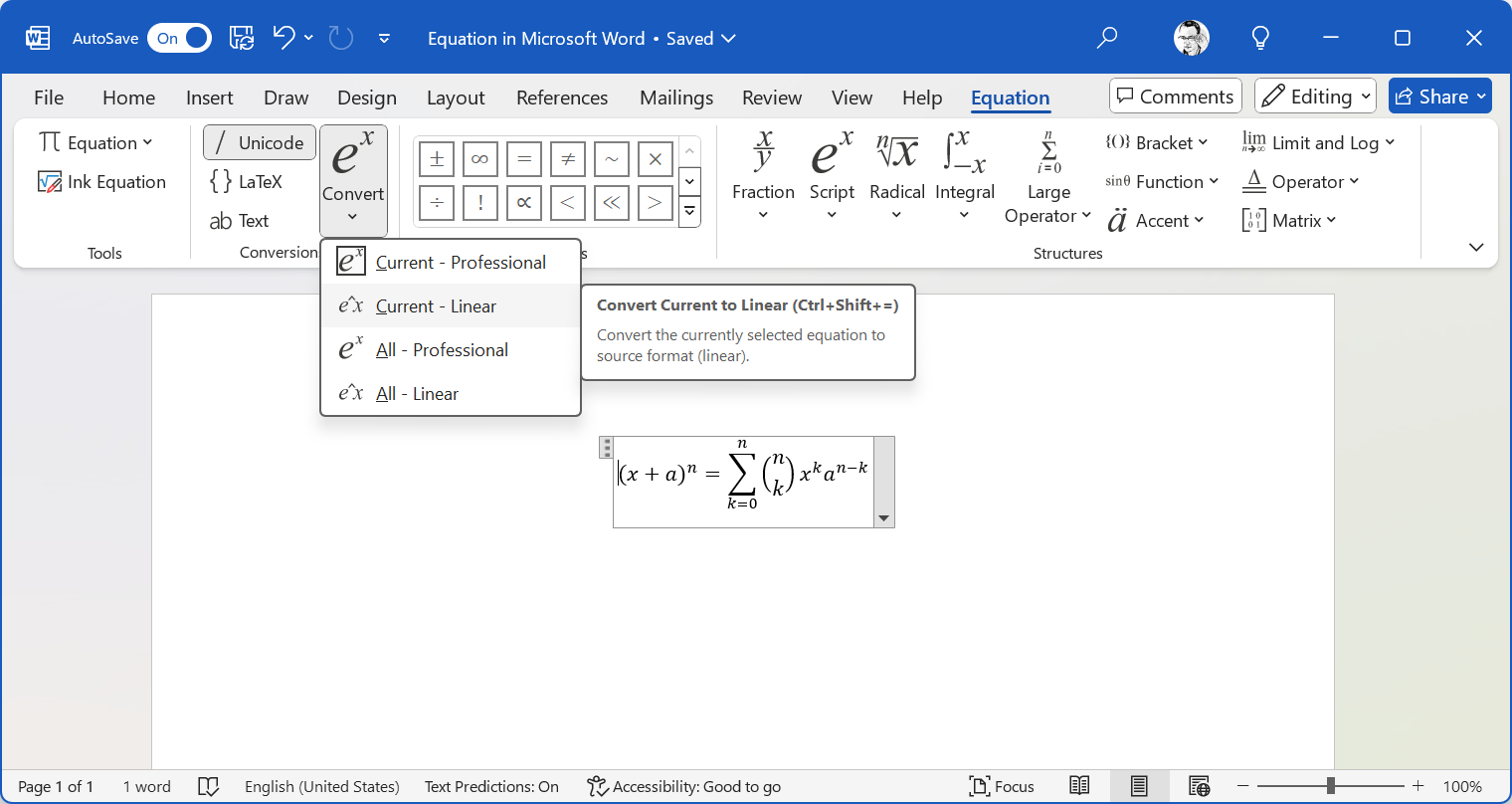 Word Equation Conversion